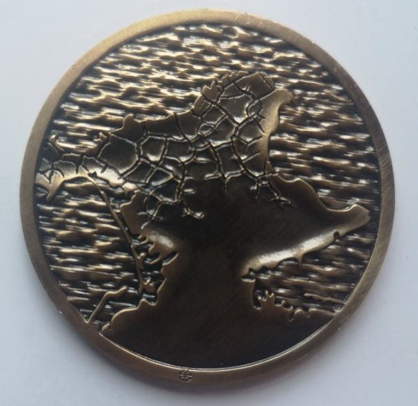 custom 3D logo with double plate brass challenge coin